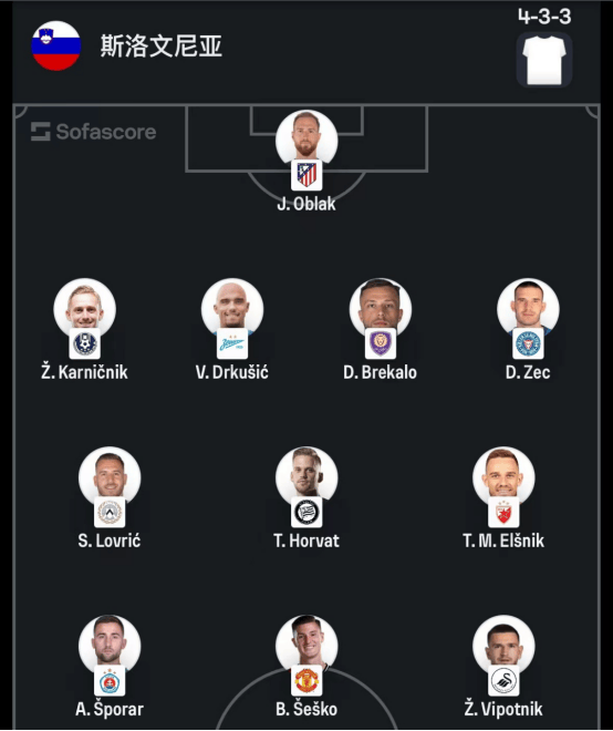 瑞典与斯洛文尼亚战平，艰难保持不败的简单介绍